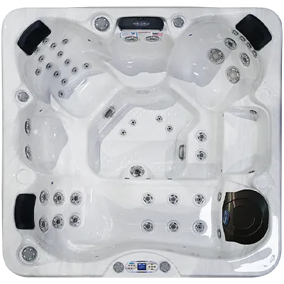 Avalon EC-849L hot tubs for sale in Gaylord